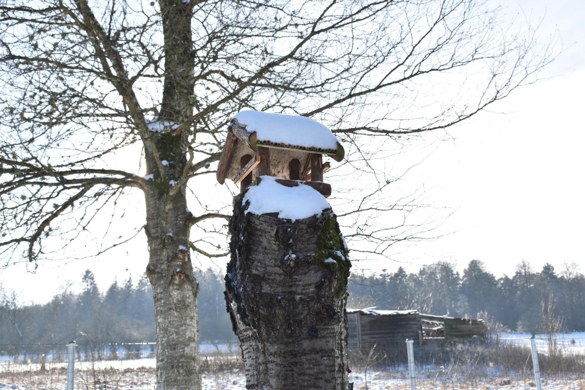 Gite Haven Maissin Exteriér fotografie